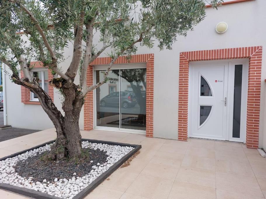 Apartament T3 Climatise, Parking Et Jardin Quartier Des Marots A Colomiers Zewnętrze zdjęcie