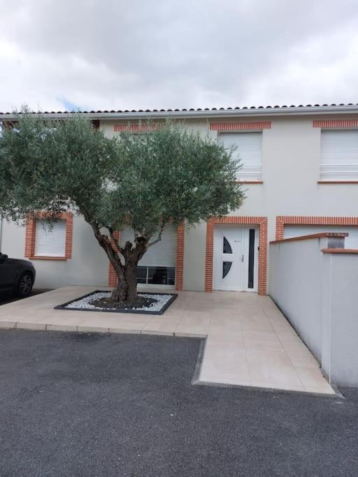 Apartament T3 Climatise, Parking Et Jardin Quartier Des Marots A Colomiers Zewnętrze zdjęcie